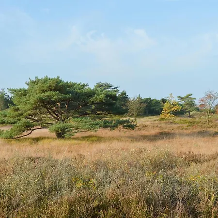 3 Bedroom Stunning In Romo *