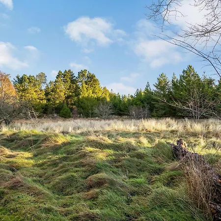 Dom wakacyjny 3 Bedroom Stunning In Romo